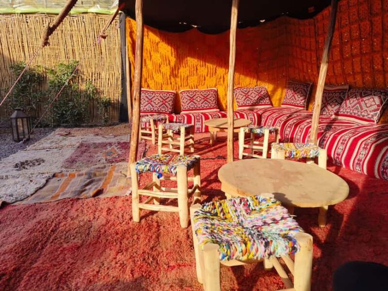 Marrakech: Quad Bike Tour to Palm Oasis and Jbilat Desert - The Value of This Experience