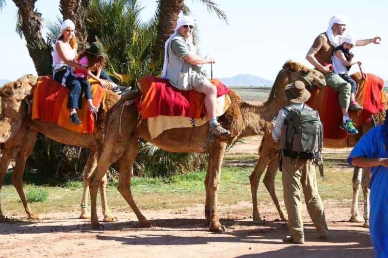 Marrakech: Quad Biking and Camel Ride Berber Villages Tour - What to Expect: From Marrakech to the Palm Grove