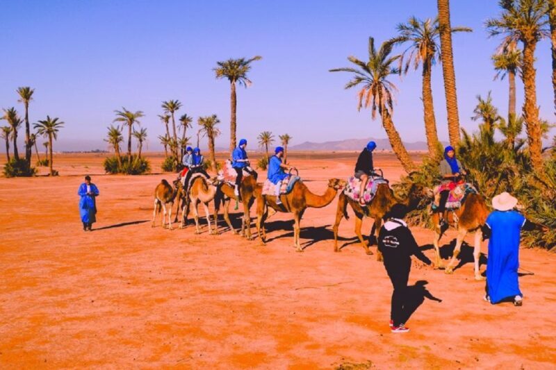 Marrakech: Quad Biking and Camel Ride Berber Villages Tour - Why This Tour Offers Great Value