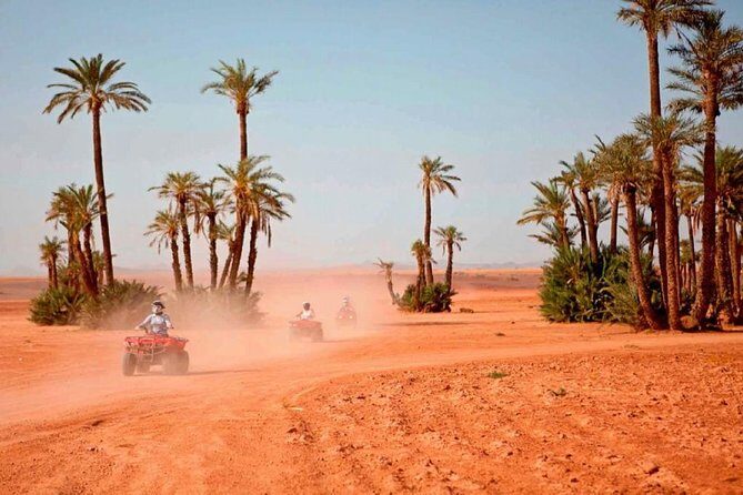 Marrakech Quad Biking Tour - Real Traveler Insights