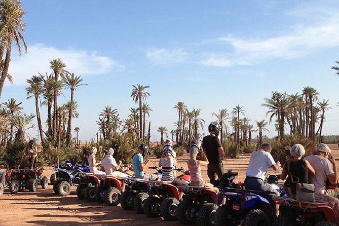 Marrakech quad biking tour in palm grove desert of marrakech - Who is This Tour Best For?