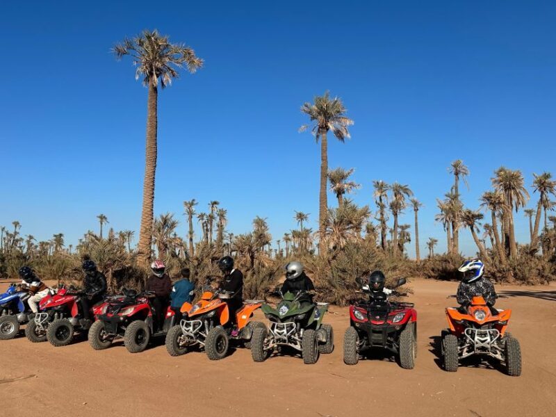 Marrakech: Quad excursion at the palm grove dunes with tea - What to Expect from the Quad Tour Experience