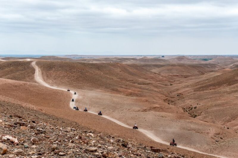 Marrakech: Quad in Jbilets Desert Tour w/ Palm Grove & Pool - Who Is This Tour Best For?