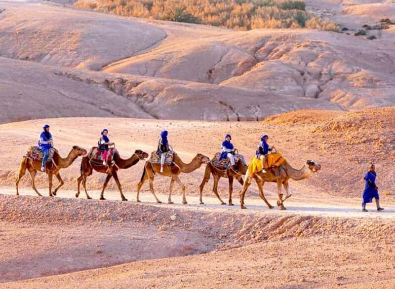 Marrakech: Quads & Camels on Sunset and Dinner With FireShow - Frequently Asked Questions