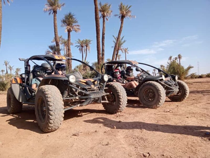 Marrakech : Ride buggy in the desert of the palm grove - Key Points