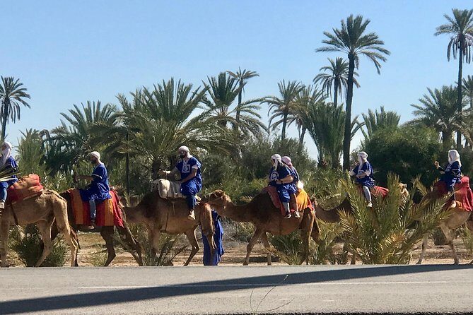 Marrakech Sahara Tours & Day Trips - FAQ