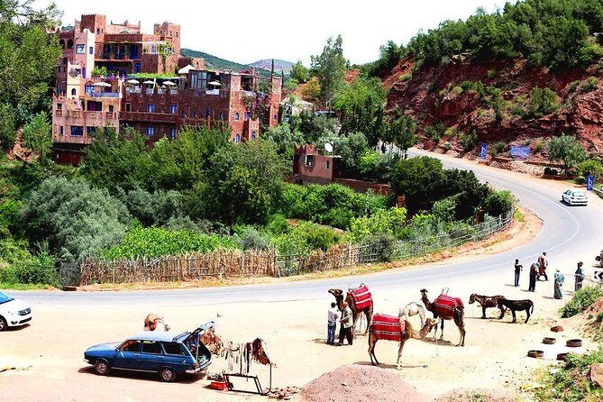 Marrakech : shared trip to ourika valley with guide & lunch - Transportation and Group Size