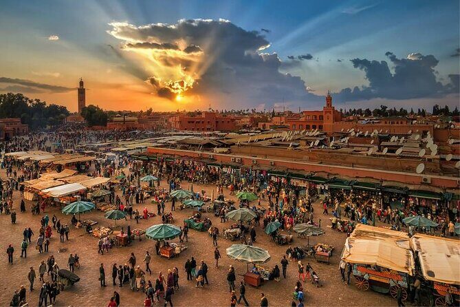 MARRAKECH SHOPPING tour half day - Authentic Feedback from Past Travelers