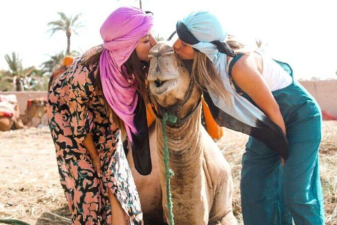 Marrakech Sunset Camel Ride in the Palm Grove - An Authentic Marrakech Experience Close to the City
