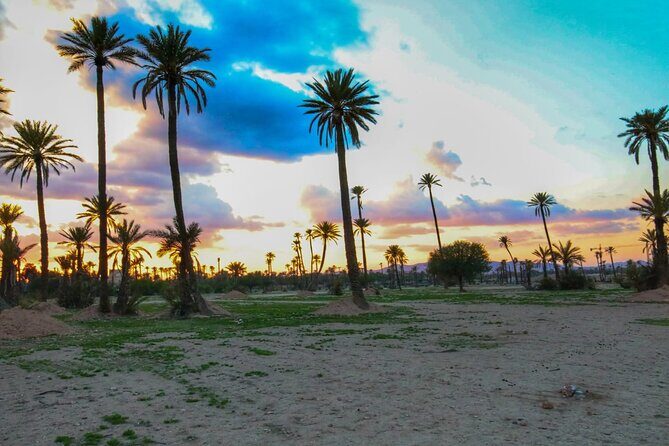 Marrakech Sunset Camel Ride in the Palm Grove - Sunset & Photography Opportunities