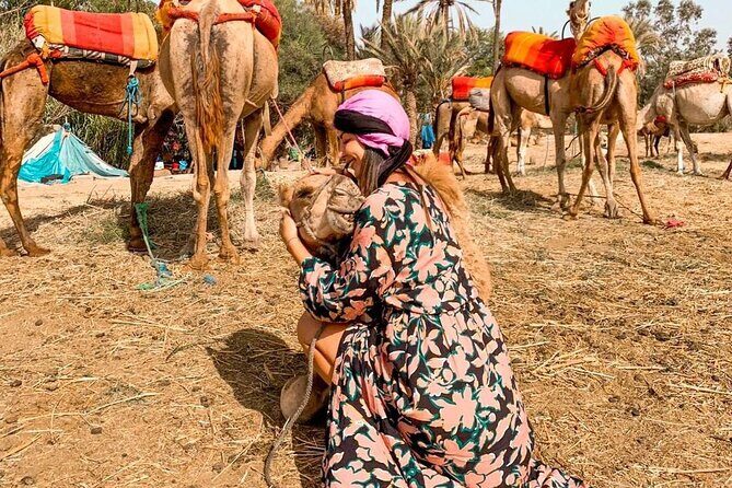 Marrakech Sunset Camel Ride in the Palm Grove - Practical Details & Value