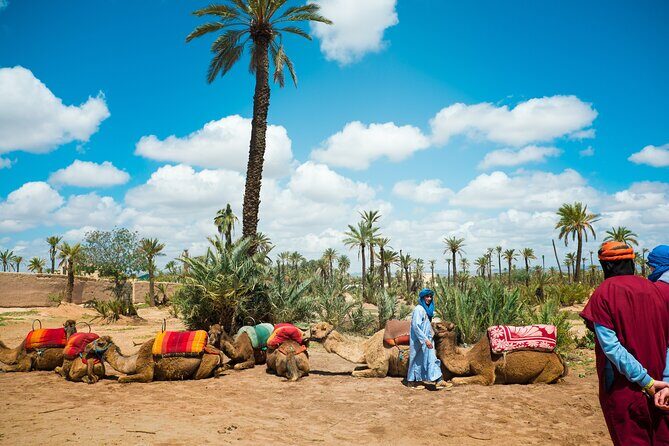 Marrakech Sunset Camel Ride in the Palm Grove - Authenticity & Guides: What Travelers Say