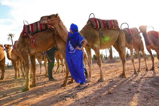 Marrakech Sunset Camel Ride in the Palm Grove - Things to Keep in Mind
