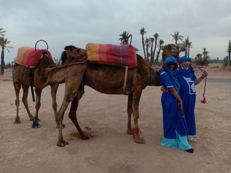 Marrakech: Sunset Camel Ride in the Palmeraie - Key Points