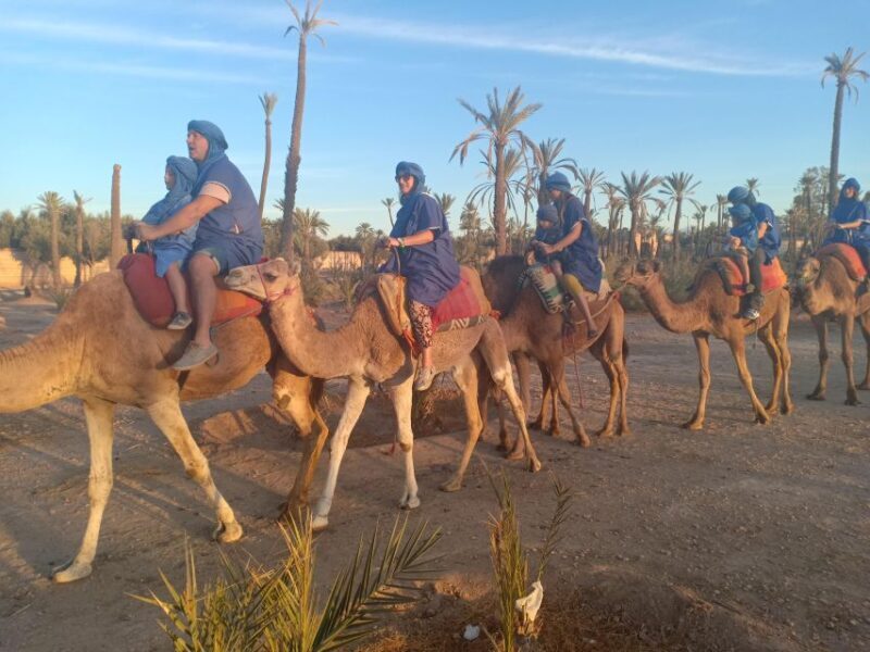 Marrakech: Sunset Camel Ride in the Palmeraie - What to Expect from the Marrakech Sunset Camel Ride