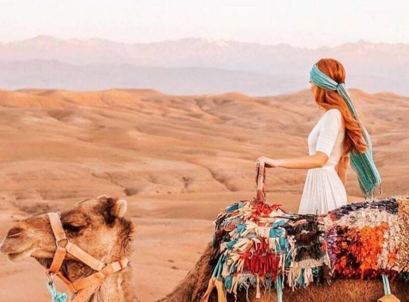 Marrakech: Sunset Dinner in Agafay Desert with Camel Ride - The Sum Up: Who Should Take This Tour?