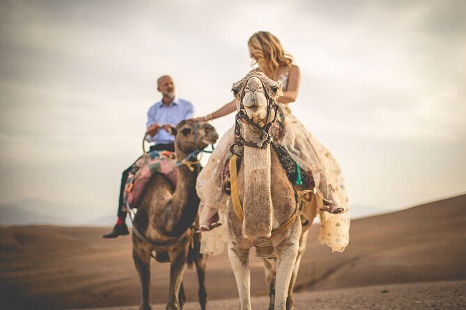 Marrakech: Three Valleys, Atlas, Camel Ride, Waterfalls, & Lunch - Key Points