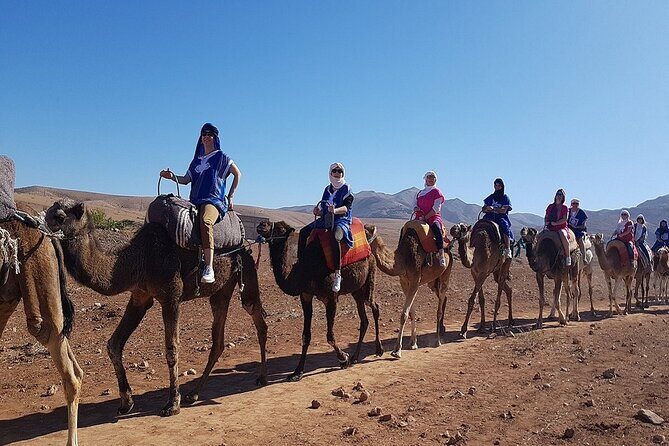 Marrakech: Three Valleys, Atlas, Camel Ride, Waterfalls, & Lunch - Frequently Asked Questions