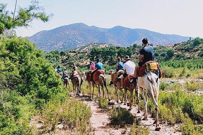 Marrakech to Atlas Mountains and 4 Valleys Day Trip - The Sum Up