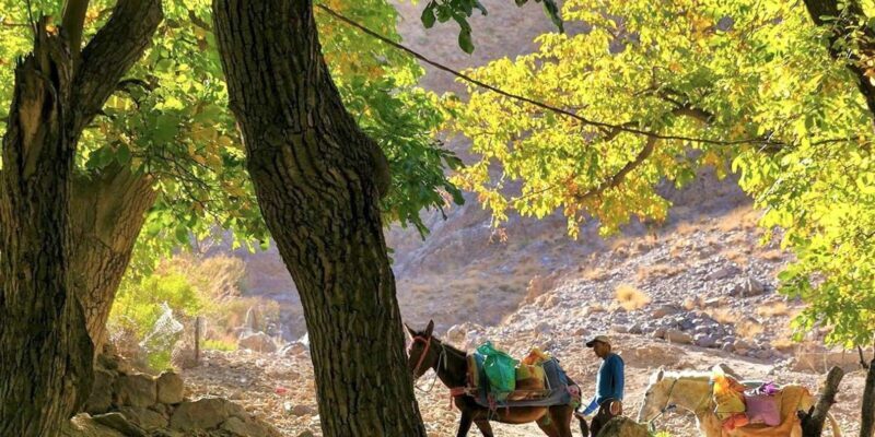 Marrakech To Atlas Mountains : Imlil Valley Walk with Lunch - Final Thoughts: Is It Worth It?
