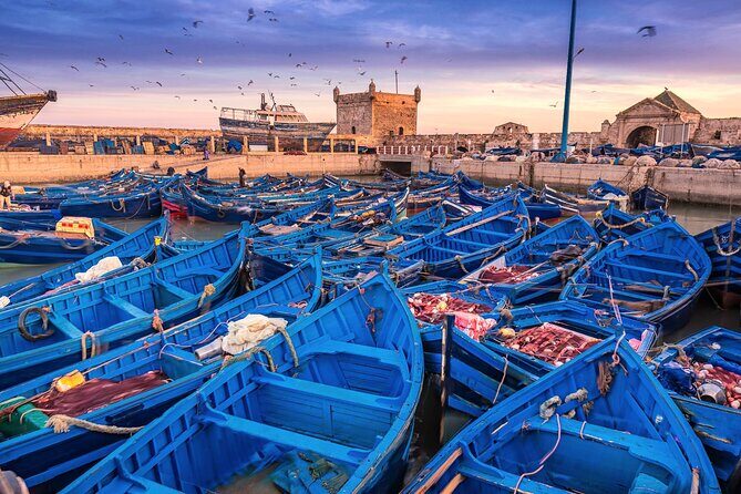 Marrakech to Essaouira: Day of Discovery Along Morocco Coastal - Key Points