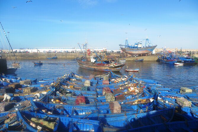 Marrakech to Essaouira: Day of Discovery Along Morocco Coastal - Final Thoughts