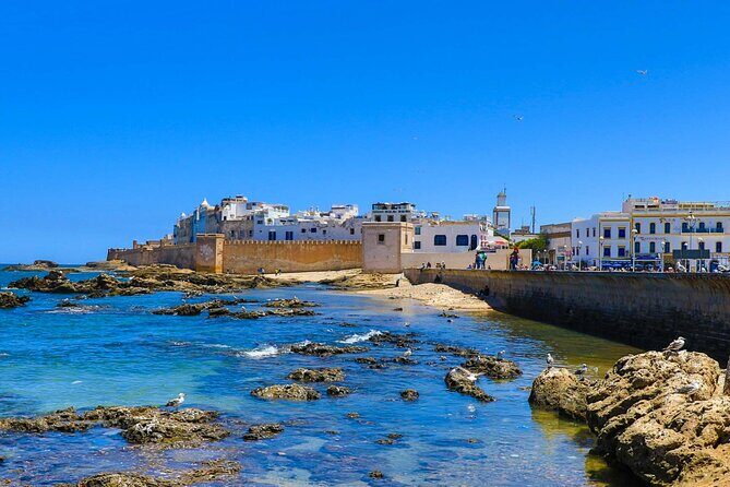 Marrakech to Essaouira Day Tour: History, Culture, and Sea - Authentic Experiences & Helpful Insights from Reviews