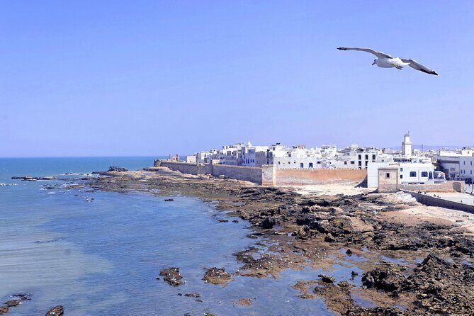 Marrakech to Essaouira Day Tour: History, Culture, and Sea - FAQ