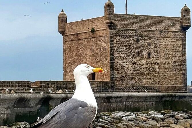 Marrakech to Essaouira Day Trip with Coastal Views - Exploring the Itinerary in Depth  