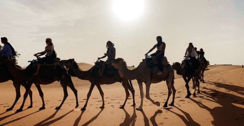 Marrakech to Fes: 3-Day Desert Adventure via Merzouga - Who Would Love This Tour?