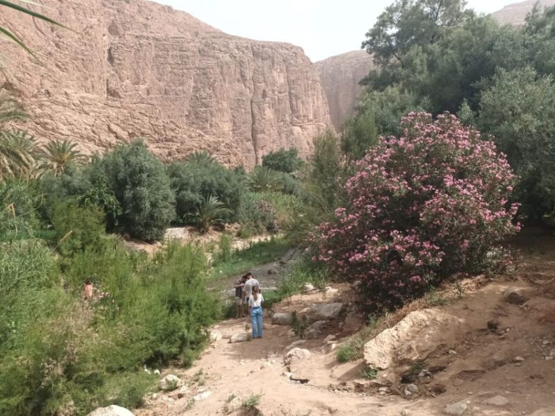 Marrakech to Fes 3 day Desert Tour Camel & luxury Tente - Key Points