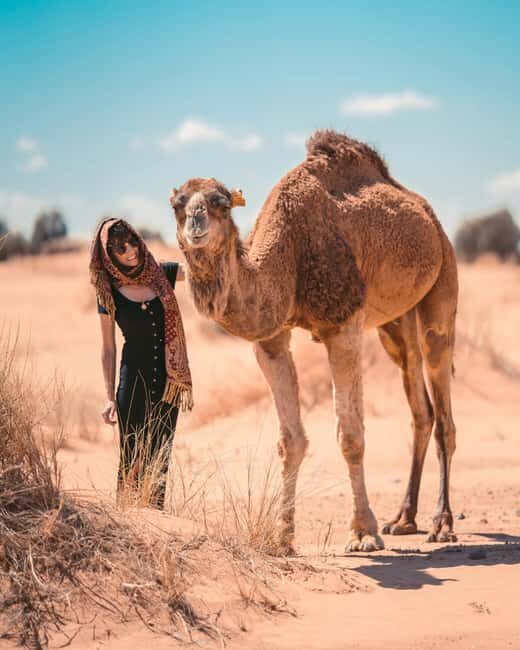 Marrakech To Fes: 3-day Merzouga Desert, Luxury Privat Tent - A Detailed Look at the 3-Day Sahara Adventure