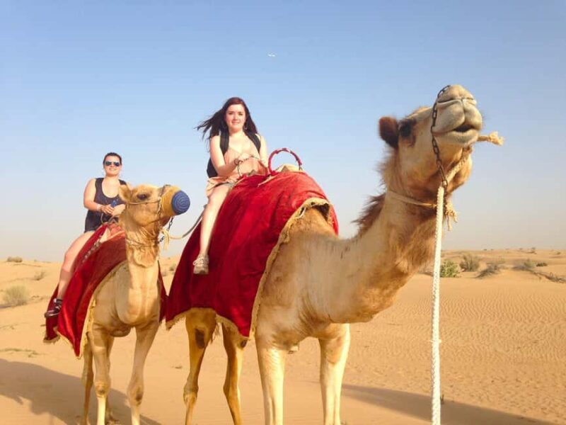 Marrakech To Fes: 3-day Merzouga Desert, Luxury Privat Tent - Practical Details & Value