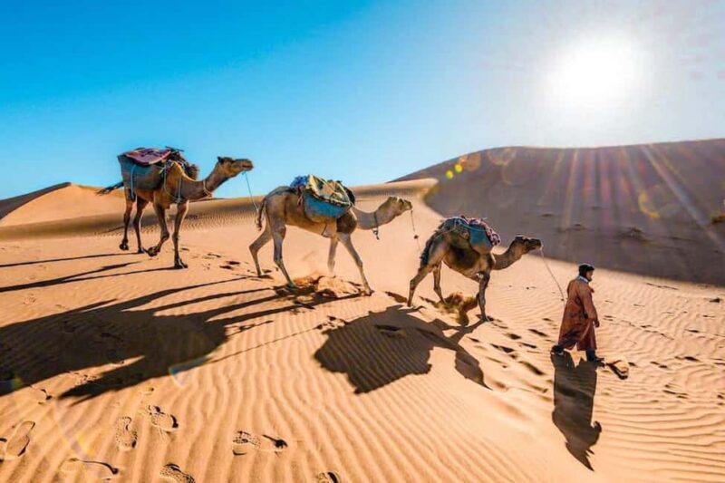 Marrakech to Fes: 3-Day Sahara Desert Tour & Camel Ride - Final Thoughts