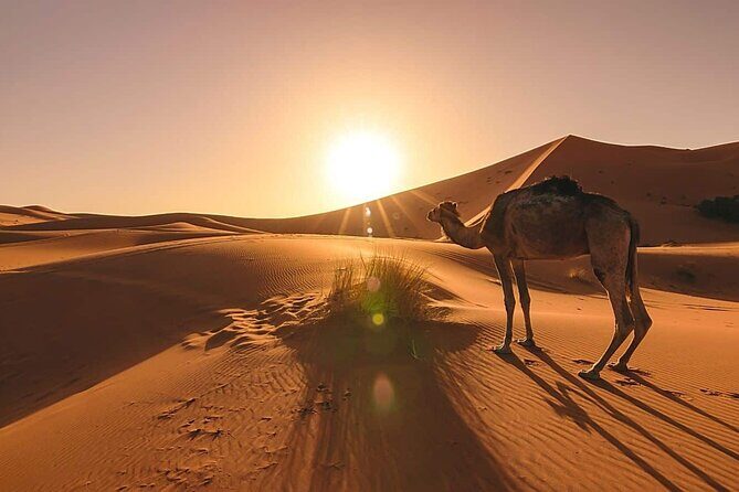 Marrakech To Fes 3 Days Desert Tours - Key Points