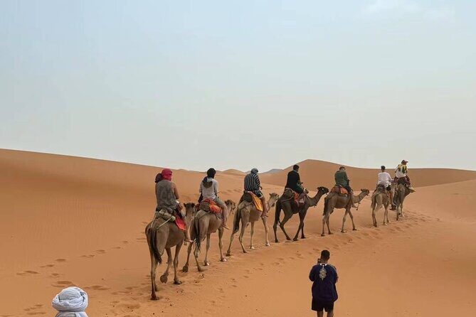 marrakech to fes desert tour 2 days - The Experience and Value
