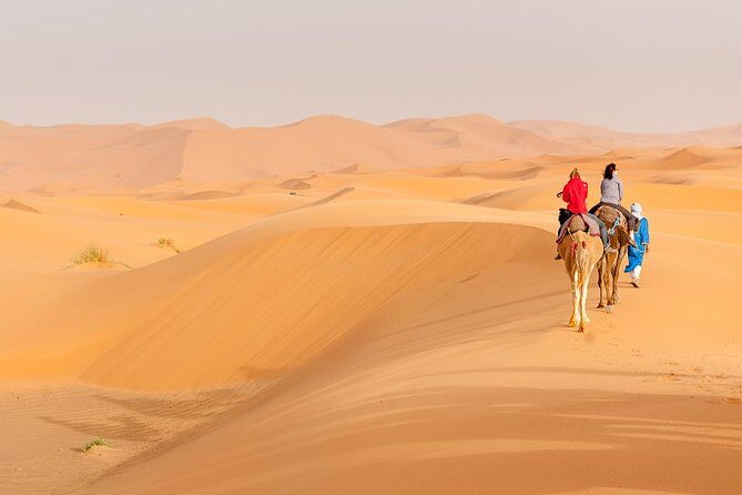 Marrakech to Fez via Merzouga Desert 3-Days Sahara Tour - Authentic Experiences and Practical Details