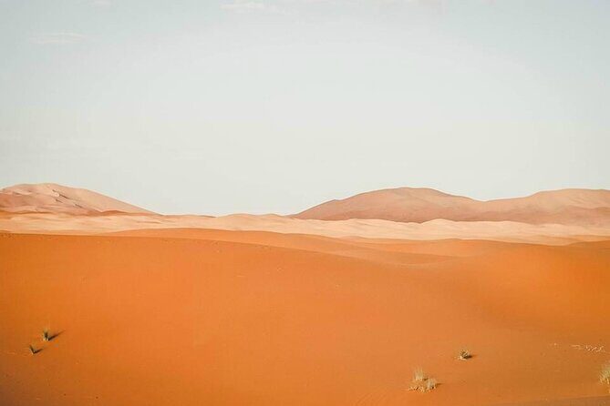 Marrakech to Merzouga 3 Day Desert Safari - Who Will Love This Tour?