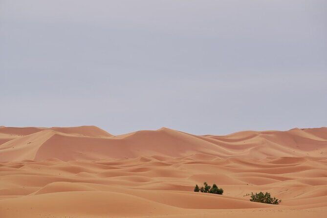 Marrakech to Merzouga 3 days Desert Tour - Who Is This Tour Best For?