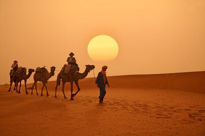 Marrakech to Merzouga Desert 3-Day via the High Atlas Mountains - Final Thoughts