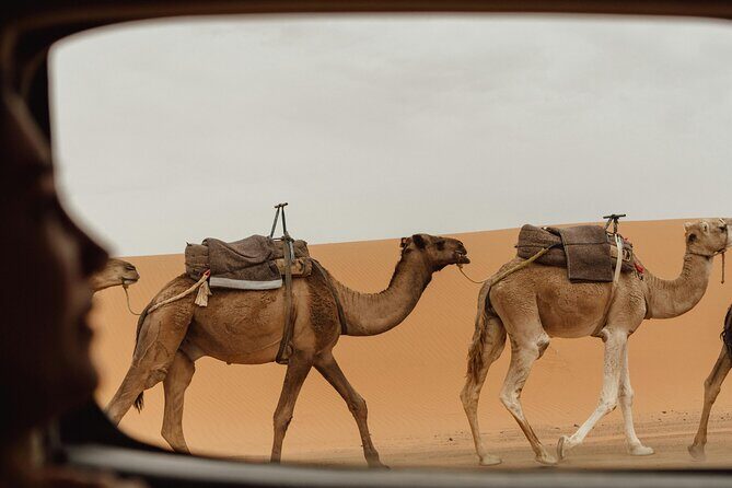 Marrakech To Merzouga Tour - Introduction