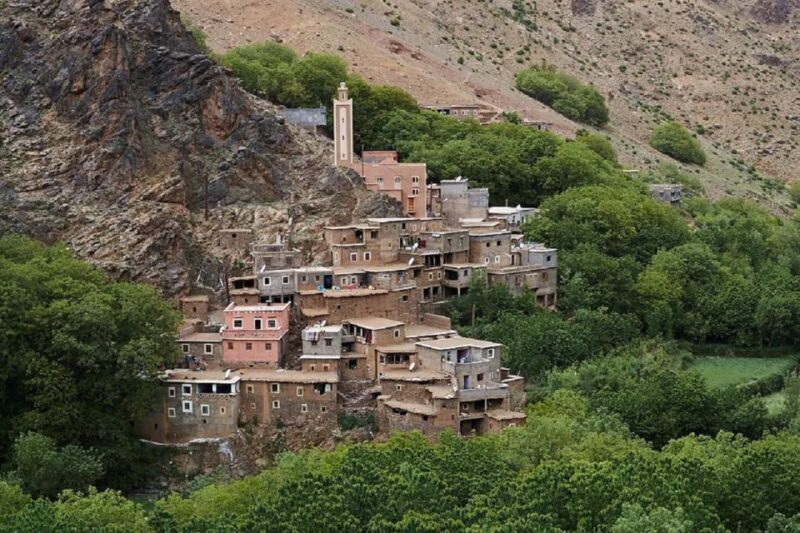 Marrakech to Ourika Valley Day Tour and Anima Garden Visit - Key Points