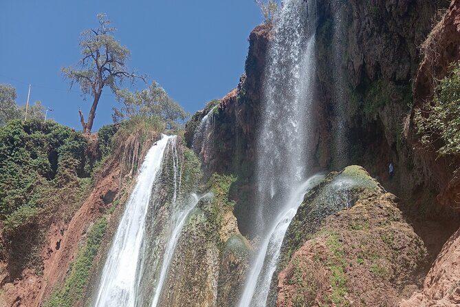 Marrakech to Ouzoud Waterfalls Day Tour - Key Points