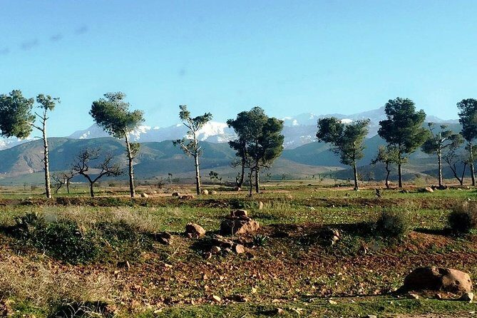 Marrakech to the Atlas Mountains: Nature, Culture& Three Valleys - Exploring the Itinerary in Detail