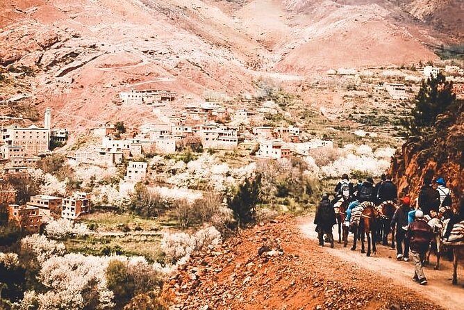 Marrakech to the Atlas Mountains: Nature, Culture& Three Valleys - Final Thoughts: Who Is This Tour Perfect For?
