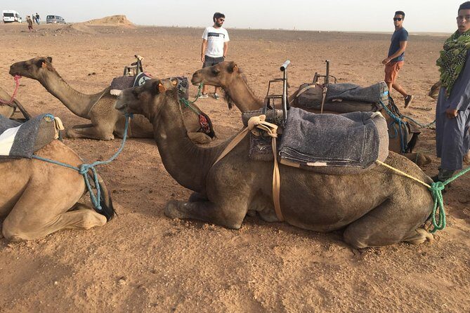 Marrakech to Zagora 2 Days Desert Tour - Scenic Drive and Mountain Passes