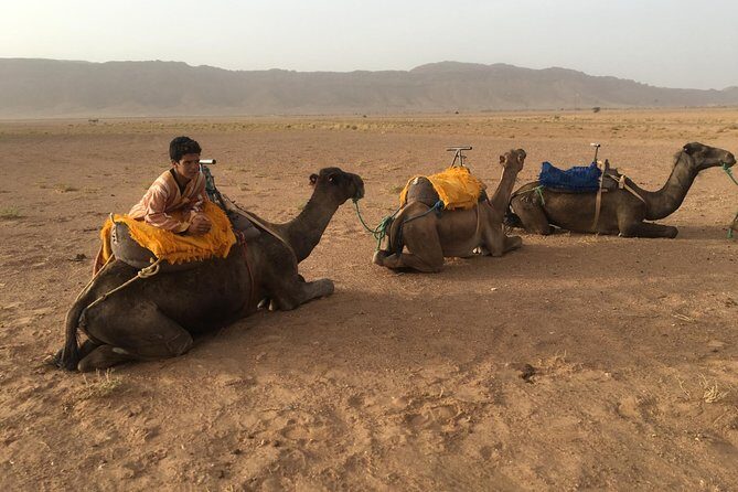 Marrakech to Zagora 2 Days Desert Tour - Transition to the Sahara: Draa Valley & Camel Trek