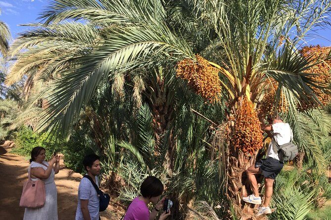 Marrakech to Zagora 2 Days Desert Tour - Sunrise and Desert Camping Experience