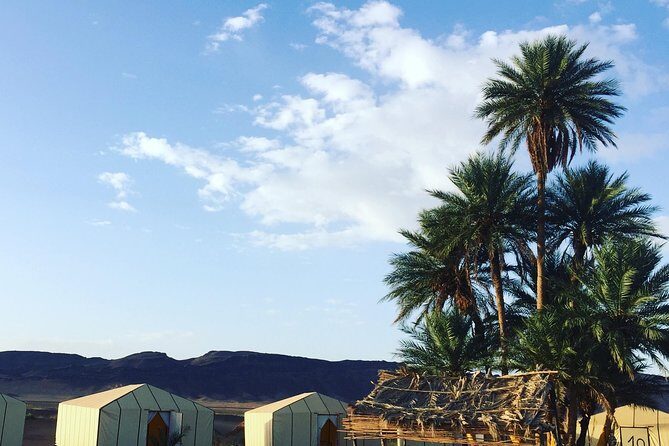 Marrakech to Zagora 2 Days Desert Tour - Authentic Experiences and Real Feedback