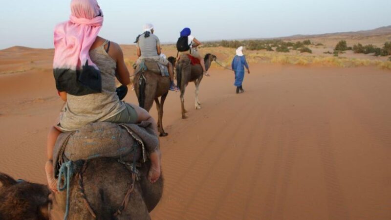 Marrakech to Zagora:2-Day Luxury Sahara Tour with Camel Ride - Is This Tour Worth the Price?
